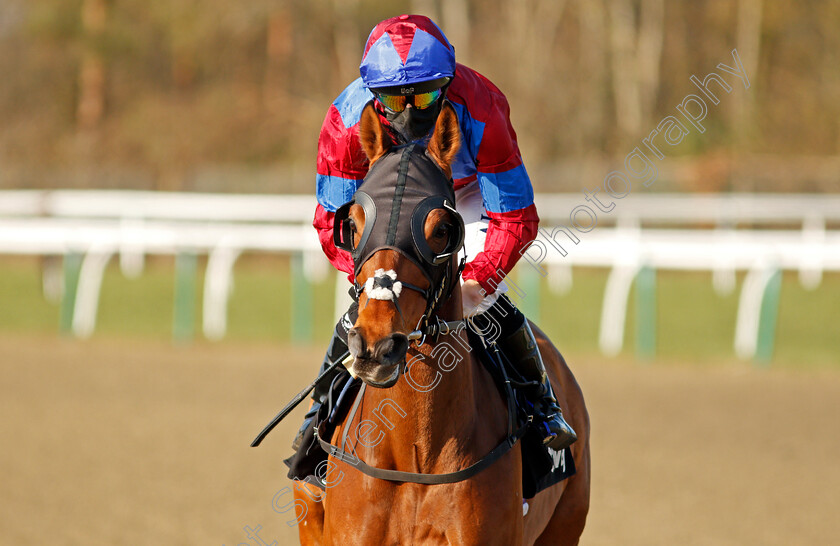 Power-Of-States-0002 
 POWER OF STATES (Ben Curtis)
Lingfield 27 Feb 2021 - Pic Steven Cargill / Racingfotos.com