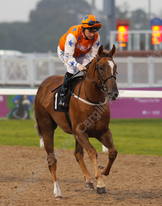 Equitant-0001 
 EQUITANT (Tony Hamilton) Chelmsford 26 Sep 2017 - Pic Steven Cargill / Racingfotos.com