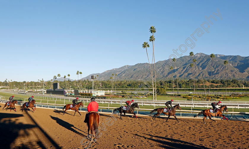 Broome,-Bolshoi-Ballet-and-Auguste-Rodin-0004 
 BROOME leads BOLSHOI BALLET and AUGUSTE RODIN training for the Breeders' Cup 
Santa Anita 2 Nov 2023 - Pic Steven Cargill / Racingfotos.com