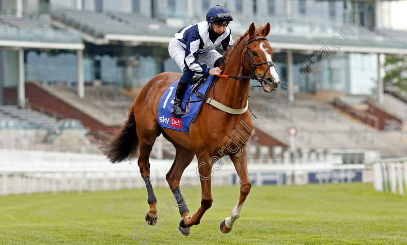 Glasses-Up-0002 
 GLASSES UP (Paddy Mathers)
York 12 May 2021 - Pic Steven Cargill / Racingfotos.com