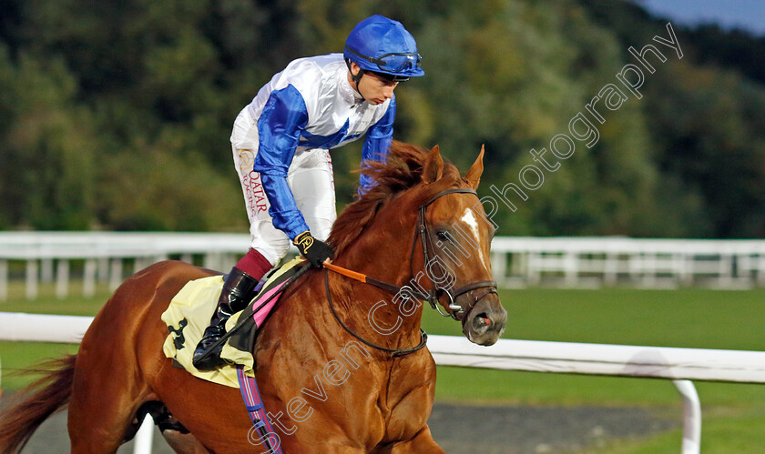 Magico-0007 
 MAGICO (Oisin Murphy) winner of The Unibet Handicap
Kempton 28 Aug 2024 - Pic Steven Cargill / Racingfotos.com