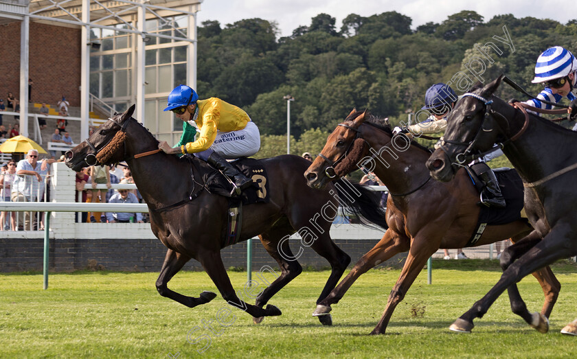 Snow-Berry-0002 
 SNOW BERRY (Alistair Rawlinson) wins The Blog.Rhino.Bet for Daily Racing Insight Handicap
Nottingham 19 Jul 2024 - Pic Steven Cargill / Megan Dent / Racingfotos.com