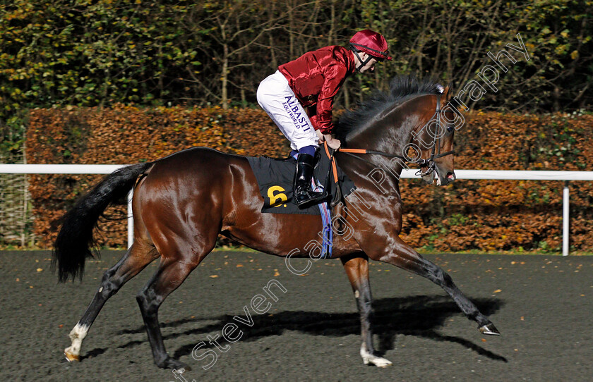 Mr-Owen-0002 
 MR OWEN (Oisin Murphy) Kempton 22 Nov 2017 - Pic Steven Cargill / Racingfotos.com