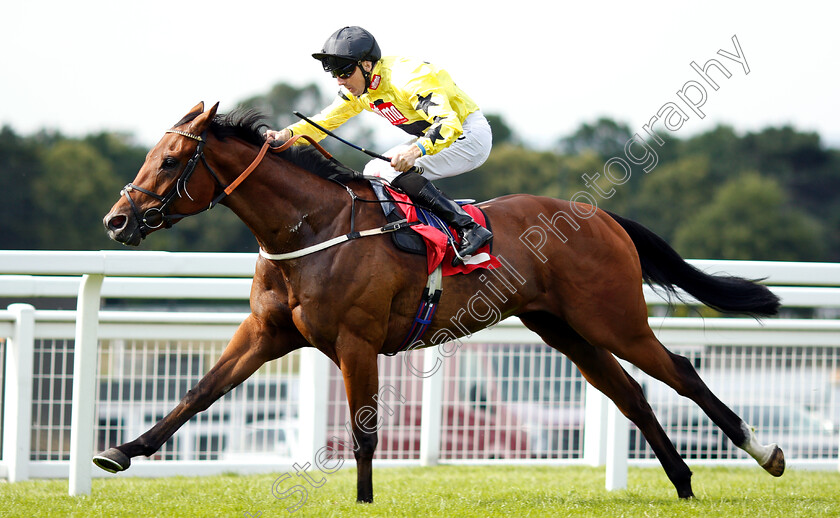 Beringer-0006 
 BERINGER (Martin Harley) wins The Beck Handicap
Sandown 15 Jun 2018 - Pic Steven Cargill / Racingfotos.com