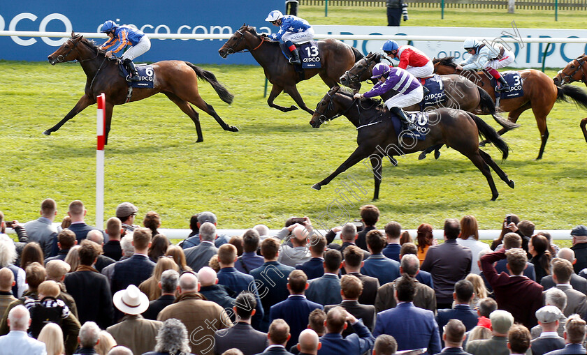 Hermosa-0004 
 HERMOSA (Wayne Lordan) beats LADY KAYA (nearside) in The Qipco 1000 Guineas
Newmarket 5 May 2019 - Pic Steven Cargill / Racingfotos.com