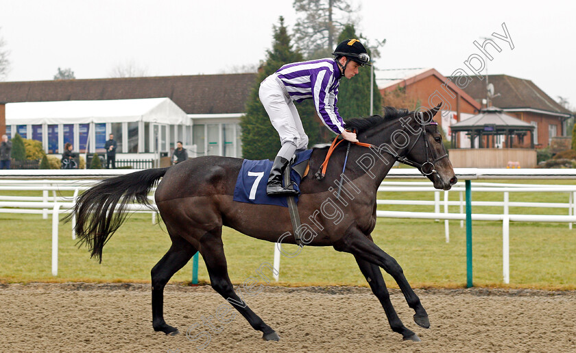 Cleverley-0001 
 CLEVERLEY (Kieran Shoemark) Lingfield 20 Dec 2017 - Pic Steven Cargill / Racingfotos.com