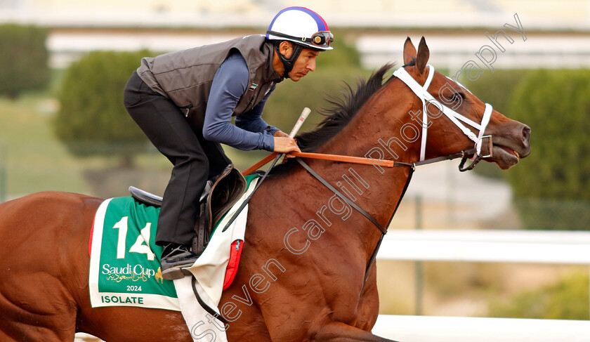 Isolate-0002 
 ISOLATE training for The Saudi Cup
King Abdulaziz Racetrack, Saudi Arabia 22 Feb 2024 - Pic Steven Cargill / Racingfotos.com