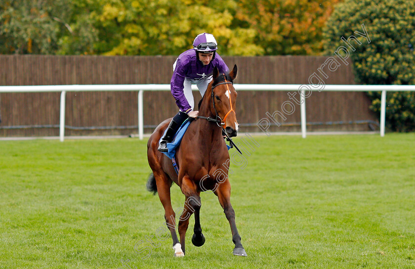 Symphony-Perfect 
 SYMPHONY PERFECT (Rossa Ryan)
Leicester 12 Oct 2021 - Pic Steven Cargill / Racingfotos.com