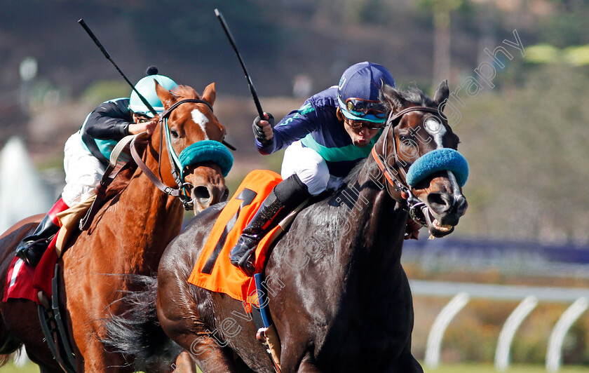 Salsita-0001 
 SALSITA (Joel Rosario) wins Allowance Claimer at Del Mar USA 2 Nov 2017 - Pic Steven Cargill / Racingfotos.com