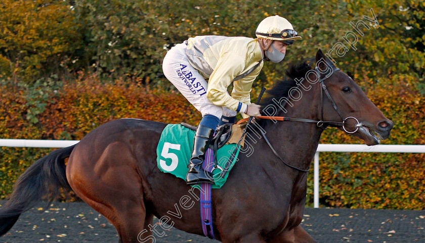 Final-Watch-0001 
 FINAL WATCH (Kevin Stott)
Kempton 2 Nov 2020 - Pic Steven Cargill / Racingfotos.com