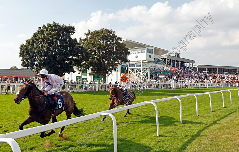 Pleasant-Man-0003 
 PLEASANT MAN (Adam Kirby) wins The Follow @attheraces On Twitter Handicap 
Yarmouth 16 Sep 2021 - Pic Steven Cargill / Racingfotos.com