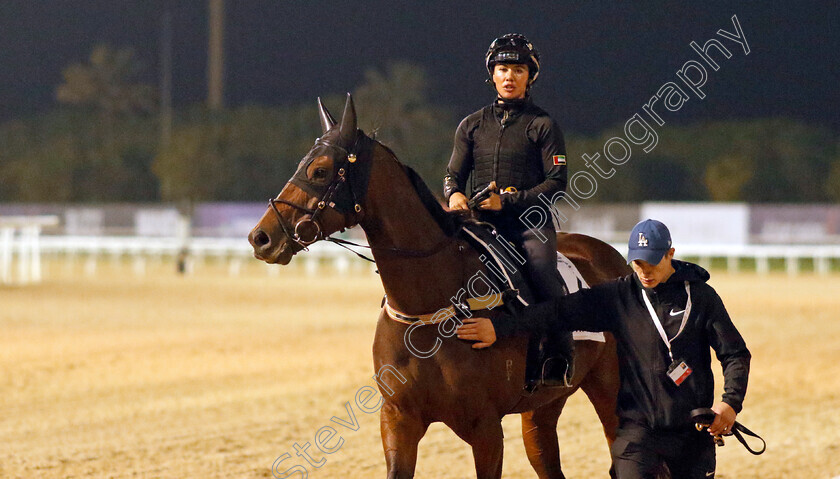 The-Astrologist-0004 
 THE ASTROLOGIST training for the Al Quoz Sprint
Meydan, Dubai, 23 Mar 2023 - Pic Steven Cargill / Racingfotos.com