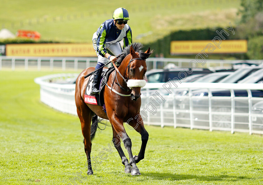 Boonie-0001 
 BOONIE (Kevin Stott)
Goodwood 28 Jul 2021 - Pic Steven Cargill / Racingfotos.com