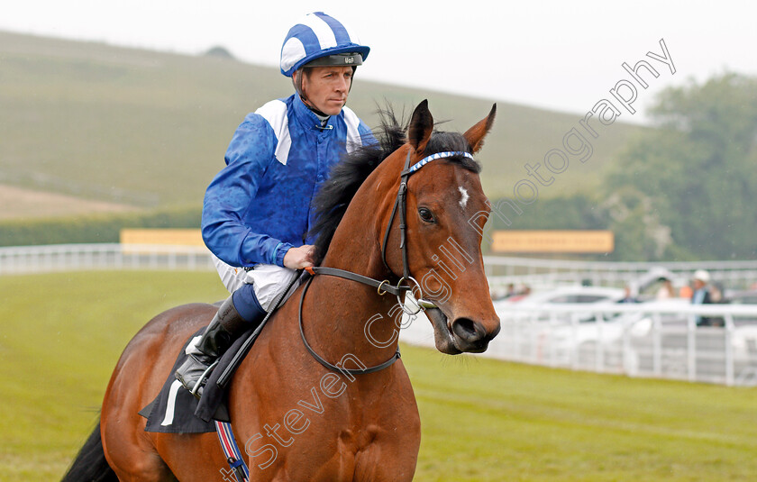 Mutawaffer-0001 
 MUTAWAFFER (Jim Crowley) before winning The EBF Novice Stakes Goodwood 24 May 2018 - Pic Steven Cargill / Racingfotos.com