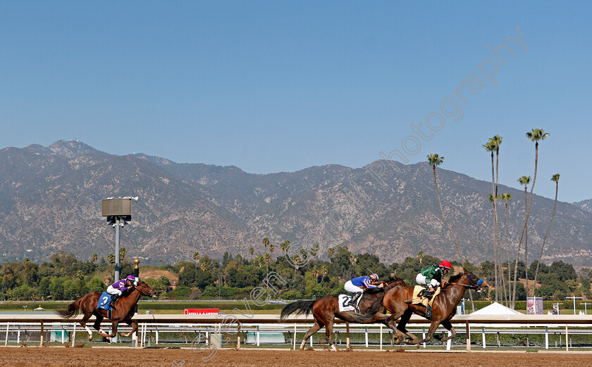 Gingham-0001 
 GINGHAM (Joel Rosario) wins Maiden
Santa Anita USA 31 Oct 2019 - Pic Steven Cargill / Racingfotos.com