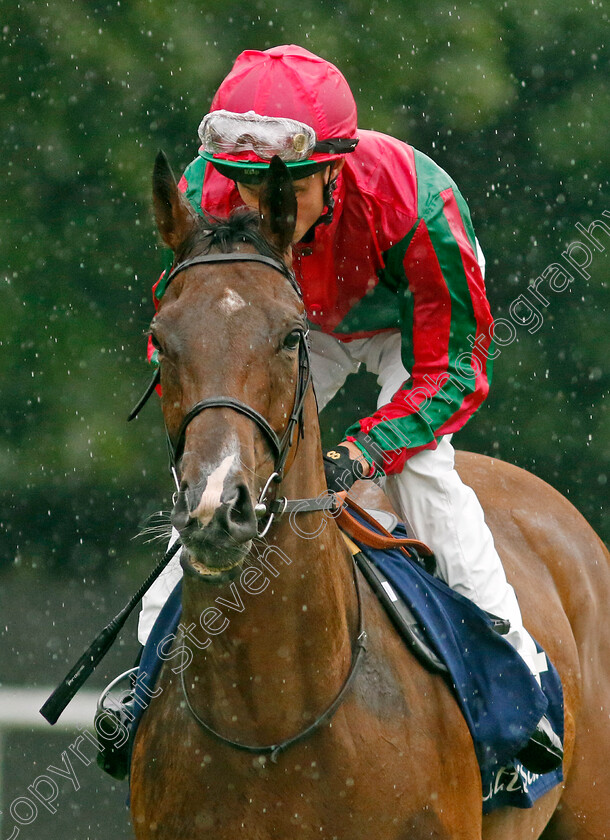 Prosperous-Voyage-0001 
 PROSPEROUS VOYAGE (William Buick)
Newmarket 14 Jul 2023 - Pic Steven Cargill / Racingfotos.com