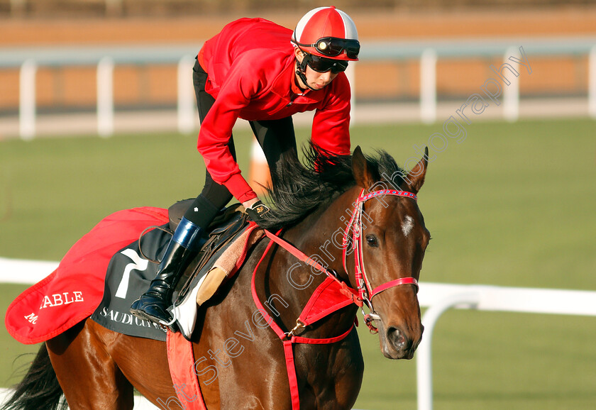 Full-Flat-0002 
 FULL FLAT preparing for the Saudi Derby
Riyadh Racecourse, Kingdom of Saudi Arabia 26 Feb 2020 - Pic Steven Cargill / Racingfotos.com