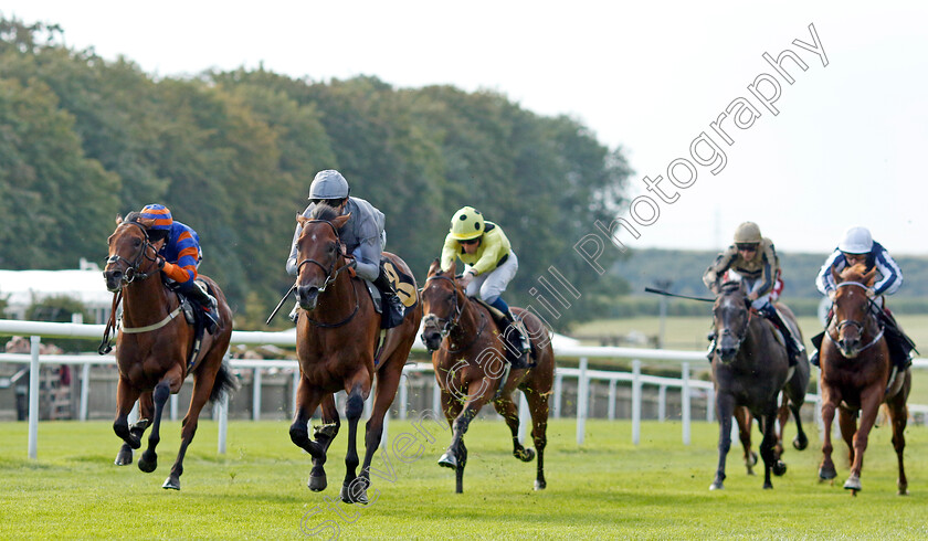 King s-Gamble-0004 
 KING'S GAMBLE (Daniel Tudhope) beats ZAIN BLUE (left) in The British Stallion Studs EBF Novice Stakes
Newmarket 4 Aug 2023 - Pic Steven Cargill / Racingfotos.com