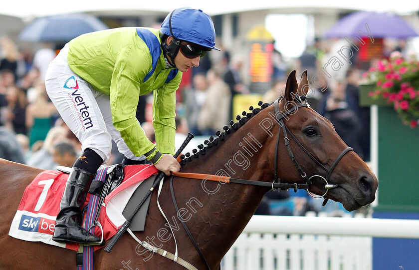 Austrian-School-0001 
 AUSTRIAN SCHOOL (P J McDonald)
York 15 Jun 2019 - Pic Steven Cargill / Racingfotos.com