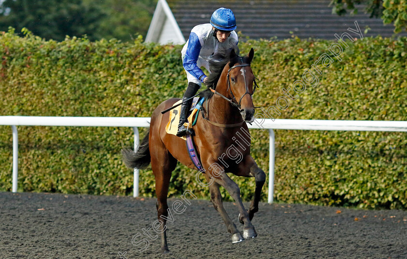 Must-Believe-0001 
 MUST BELIEVE (Paddy Bradley)
Kempton 6 Sep 2024 - Pic Steven Cargill / Racingfotos.com