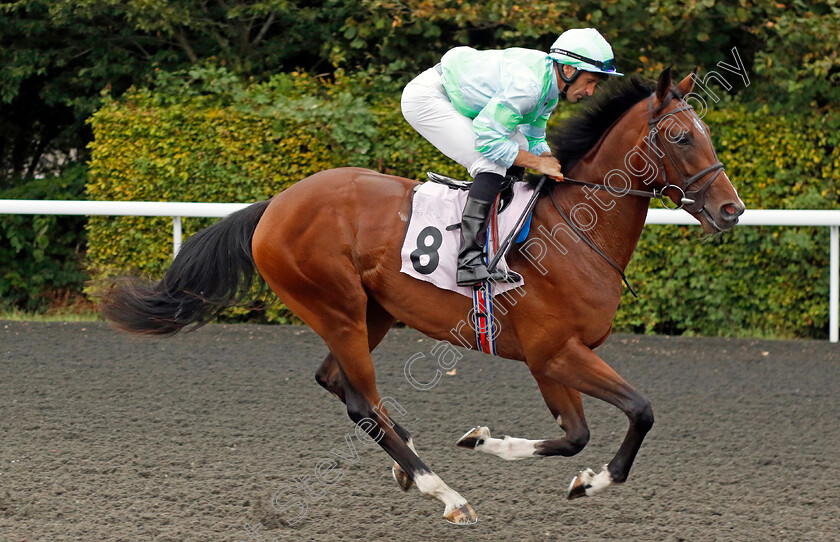 Khisah-Bu-Thaila-0001 
 KHISAH BU THAILA (Neil Callan)
Kempton 8 Sep 2023 - Pic Steven Cargill / Racingfotos.com