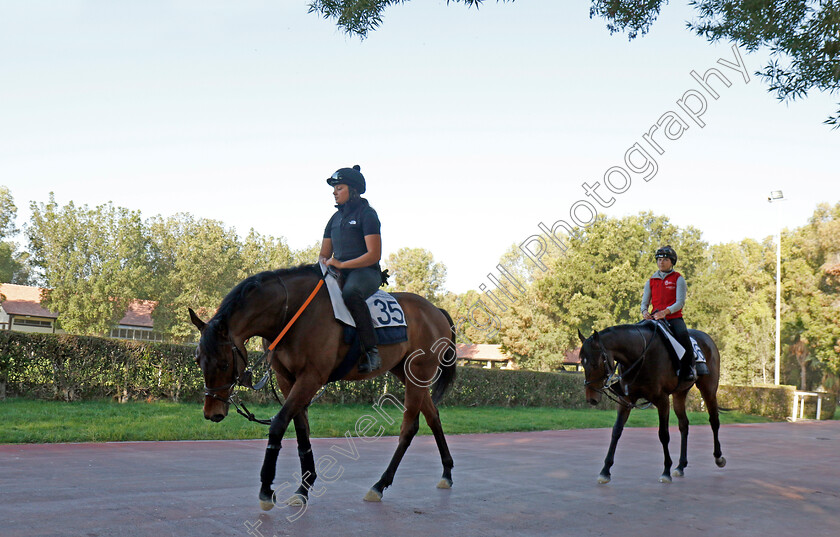 Emaraaty-Ana-and-Jungle-Drums-0001 
 EMARAATY ANA leads JUNGLE DRUMS in training at the Dubai Racing Carnival
Meydan 22 Jan 2025 - Pic Steven Cargill / Racingfotos.com