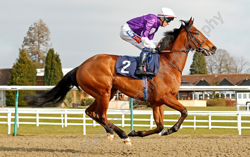 Solid-Man-0002 
 SOLID MAN (Fran Berry) Lingfield 23 Feb 2018 - Pic Steven Cargill / Racingfotos.com