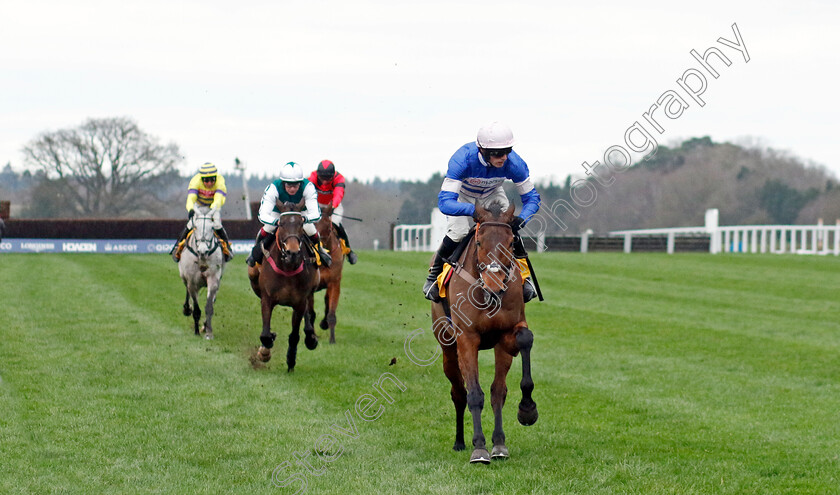 Pic-D Orhy-0005 
 PIC D'ORHY (Harry Cobden) wins The Betfair Ascot Chase
Ascot 17 Feb 2024 - Pic Steven Cargill / Racingfotos.com