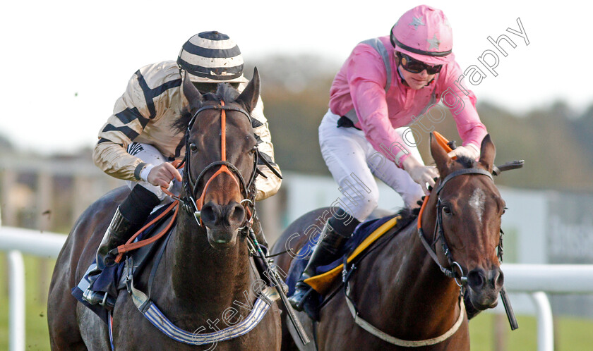 Doc-Sportello-0006 
 DOC SPORTELLO (left, Tom Marquand) beats FIRENZE ROSA (right) in The Download The Star Sports App Now Handicap
Bath 16 Oct 2019 - Pic Steven Cargill / Racingfotos.com