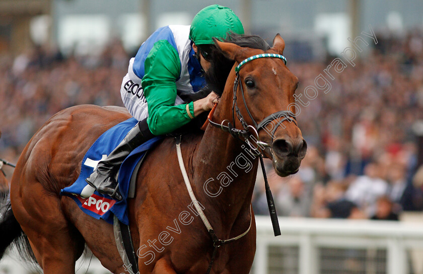 One-Master-0007 
 ONE MASTER (Martin Harley) wins The Totepool British EBF October Stakes Ascot 7 Oct 2017 - Pic Steven Cargill / Racingfotos.com