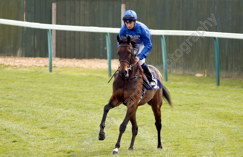 Quiet-Place-0001 
 QUIET PLACE (Oisin Murphy)
Yarmouth 23 Apr 2019 - Pic Steven Cargill / Racingfotos.com