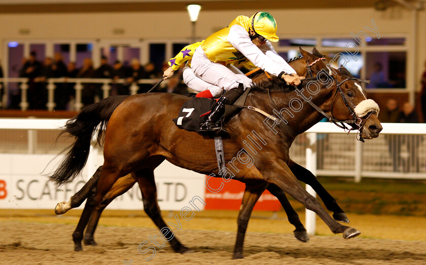 Pinnata-0003 
 PINNATA (Sean Levey) wins The Bet In Play At totesport.com Handicap
Chelmsford 29 Nov 2018 - Pic Steven Cargill / Racingfotos.com