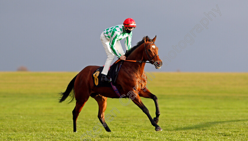 Modern-Millie-0002 
 MODERN MILLIE (Rob Hornby)
Newmarket 31 Oct 2020 - Pic Steven Cargill / Racingfotos.com