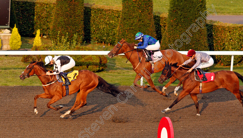 Spirit-Of-The-Bay-0003 
 SPIRIT OF THE BAY (Hector Crouch) wins The Try Our New Price Boosts At Unibet Fillies Handicap
Kempton 3 Sep 2021 - Pic Steven Cargill / Racingfotos.com