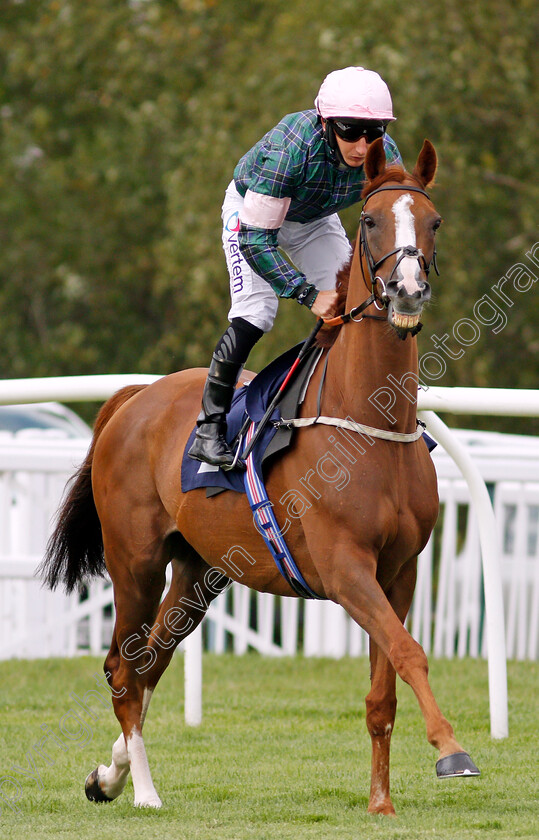 Fun-Mac-0001 
 FUN MAC (P J McDonald)
Lingfield 26 Aug 2020 - Pic Steven Cargill / Racingfotos.com