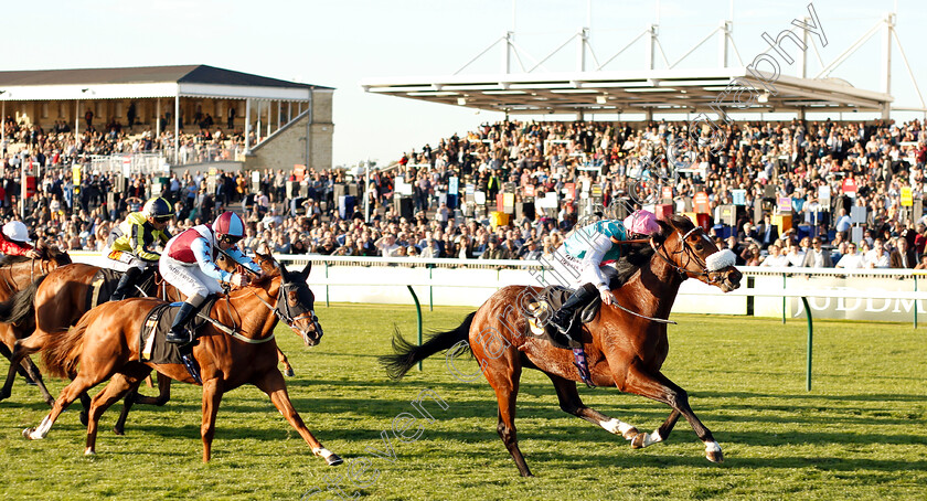 Chaleur-0002 
 CHALEUR (Richard Kingscote) wins The British Stallion Studs EBF Jersey Lily Fillies Nursery
Newmarket 29 Sep 2018 - Pic Steven Cargill / Racingfotos.com