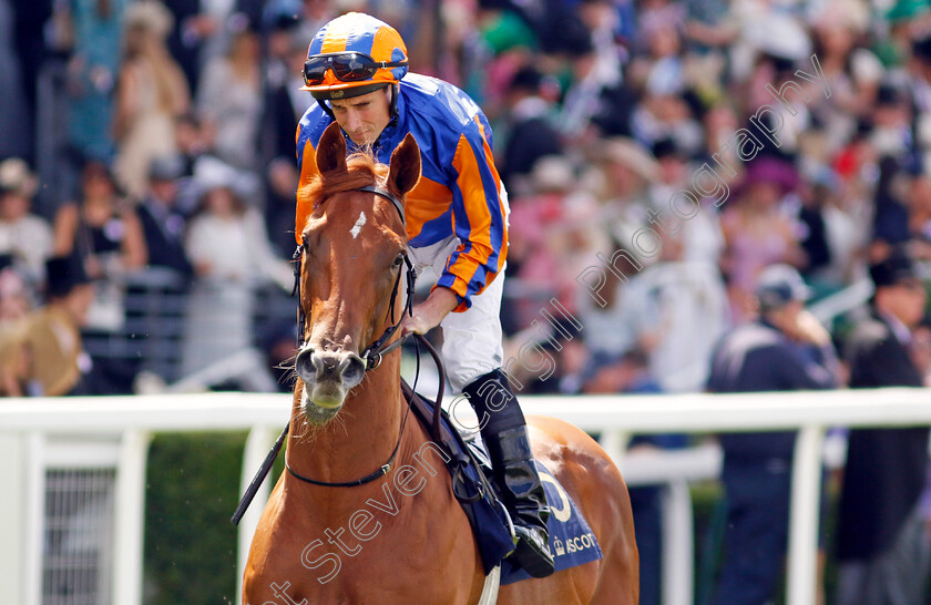 Fairy-Godmother-0004 
 FAIRY GODMOTHER (Ryan Moore) winner of The Albany Stakes
Royal Ascot 21 Jun 2024 - Pic Steven Cargill / Racingfotos.com