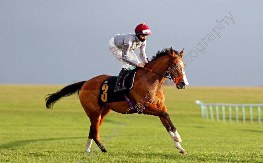 Qaysar-0003 
 QAYSAR (Rossa Ryan)
Newmarket 31 Oct 2020 - Pic Steven Cargill / Racingfotos.com