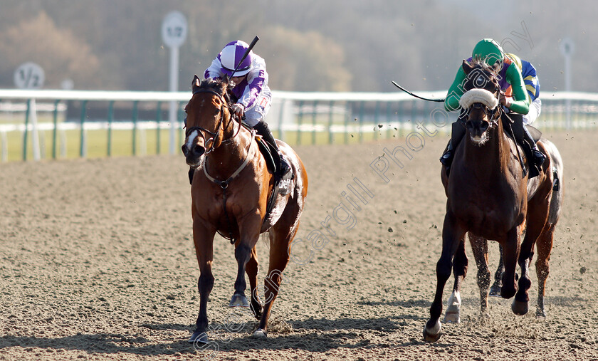 Gorgeous-Noora-0005 
 GORGEOUS NOORA (Hollie Doyle) beats ROYAL BIRTH (right) in The Betway Hever Sprint Stakes
Lingfield 23 Feb 2019 - Pic Steven Cargill / Racingfotos.com