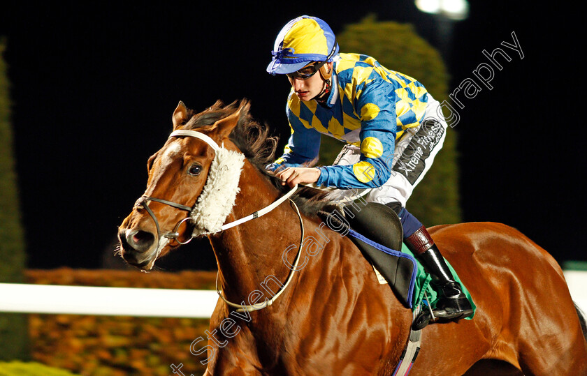 Loveatfirstsight-0002 
 LOVEATFIRSTSIGHT (Daniel Muscutt) wins The 32Red Handicap Kempton 8 Nov 2017 - Pic Steven Cargill / Racingfotos.com