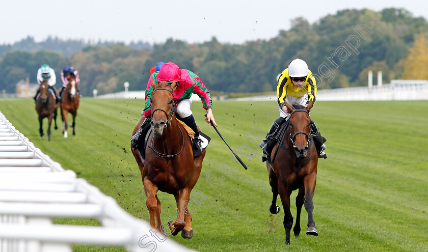 Seaward-0004 
 SEAWARD (Hector Crouch) beats CLIMATE ACTION (right) in The Memberships At Ascot EBF Fillies Novice Stakes
Ascot 8 Sep 2023 - Pic Steven Cargill / Racingfotos.com