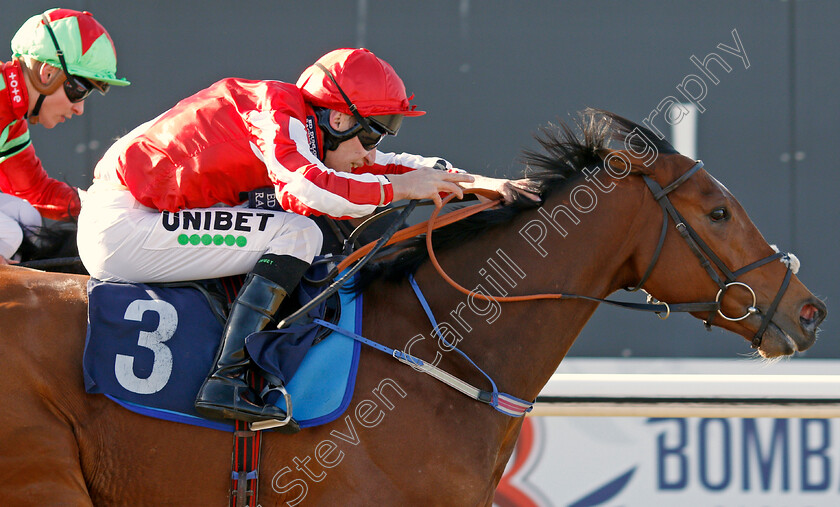 Toro-Dorado-0006 
 TORO DORADO (Luke Morris) wins The Bombardier Golden Beer Handicap
Lingfield 8 Feb 2020 - Pic Steven Cargill / Racingfotos.com