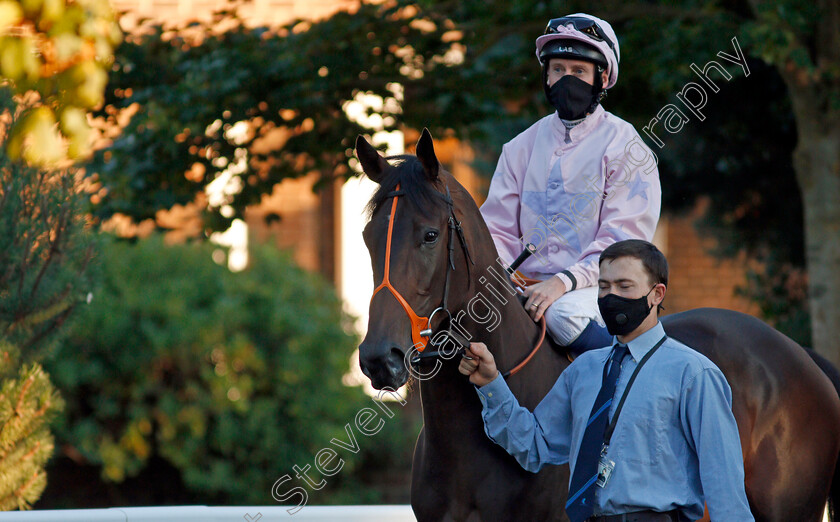 Coppergate-Wunder-0001 
 COPPERGATE WUNDER (Martin Dwyer)
Kempton 18 Aug 2020 - Pic Steven Cargill / Racingfotos.com