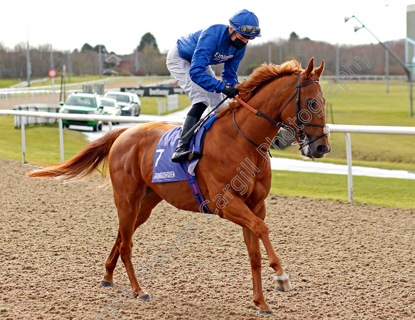 Raaeb-0001 
 RAAEB (Callum Shepherd)
Wolverhampton 13 Mar 2021 - Pic Steven Cargill / Racingfotos.com