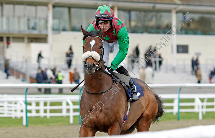 Creationist-0002 
 CREATIONIST (Connor Murtagh)
Lingfield 1 Dec 2021 - Pic Steven Cargill / Racingfotos.com