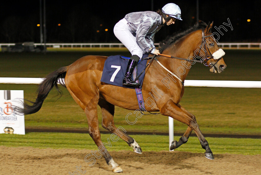 Attain-0001 
 ATTAIN (Kate Leahy)
Wolverhampton 19 Dec 2019 - Pic Steven Cargill / Racingfotos.com