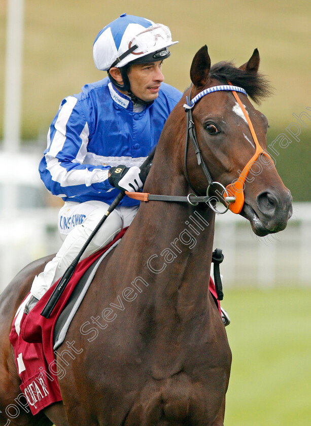 Mystery-Power-0001 
 MYSTERY POWER (Silvestre De Sousa)
Goodwood 30 Jul 2019 - Pic Steven Cargill / Racingfotos.com