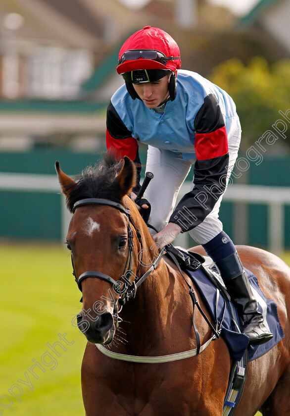 King-Of-Charm-0002 
 KING OF CHARM (Darragh Keenan)
Yarmouth 16 Oct 2023 - Pic Steven Cargill / Racingfotos.com