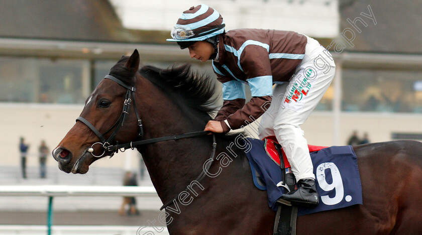 Qui-Quieres-0001 
 QUE QUIERES (Nicola Currie)
Lingfield 20 Nov 2018 - Pic Steven Cargill / Racingfotos.com