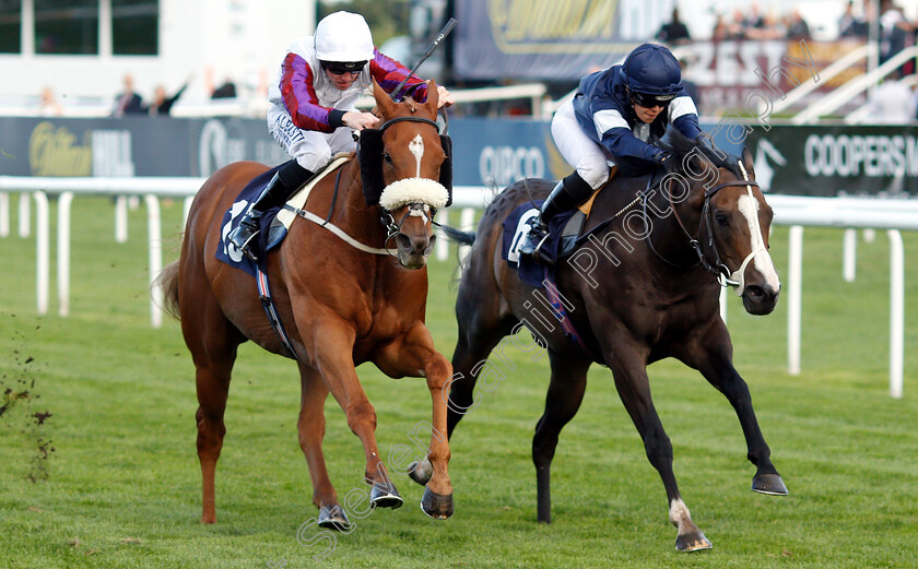 Von-Blucher-0001 
 VON BLUCHER (left, Cam Hardie) beats NORMANDY BARRIERE (right) in The Lakeside Village Outlet Shopper Handicap
Doncaster 14 Sep 2018 - Pic Steven Cargill / Racingfotos.com